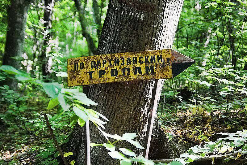 Конечно, народ не растерялся. Проводники по партизанским тропам заработали... много заработали.