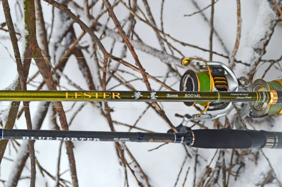 Lester 夢墨 Boron 800L Anniversary LESTER 夢墨 Boron anniversary