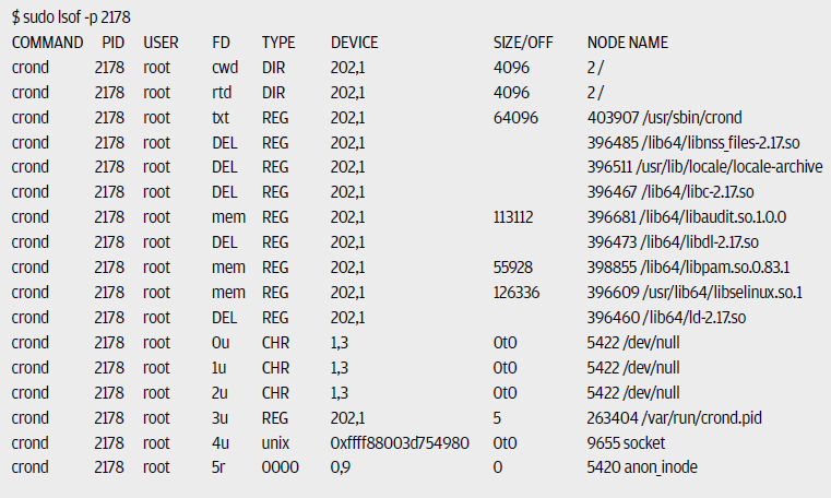 Рис. 1 Пример вывода команды lsof