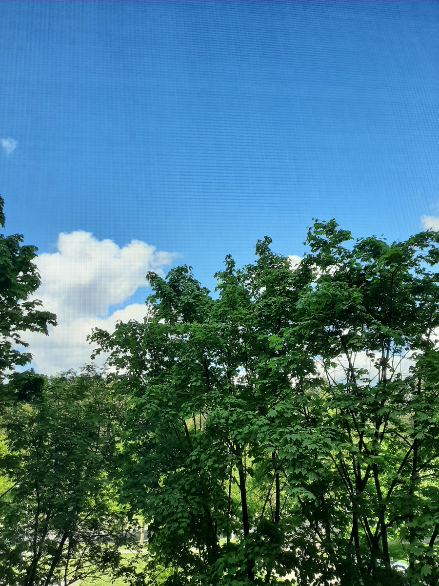 Погода , природа 👍