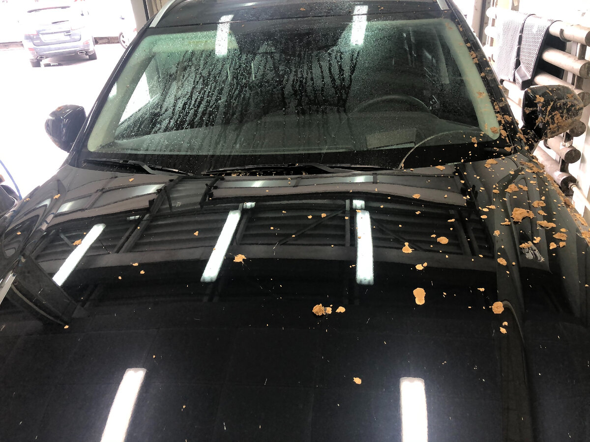 кстати забрасывает его не плохо, одна поездка и мойка сразу