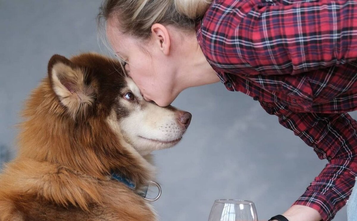 На фото #huskybeat_отто Фото @kudriphoto