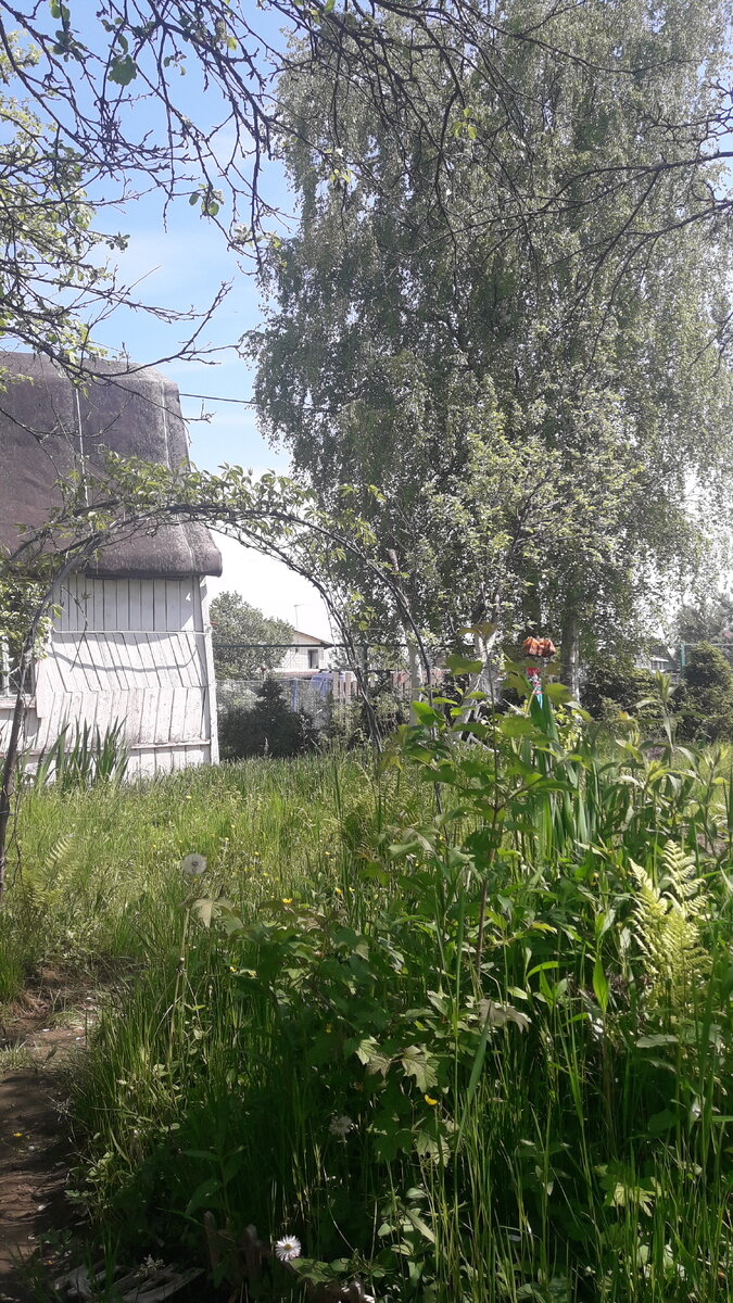 Фото автора канала