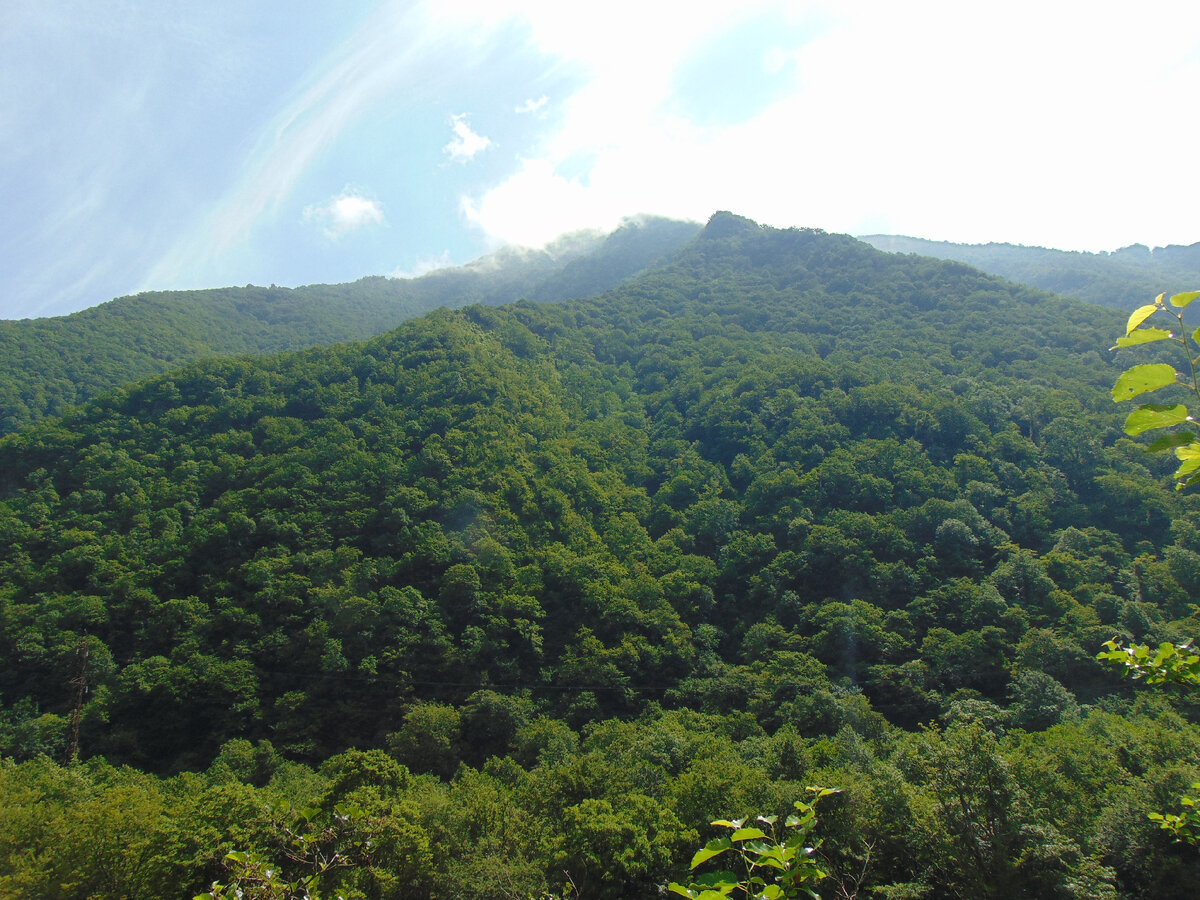Горы в Абхазии, личное фото