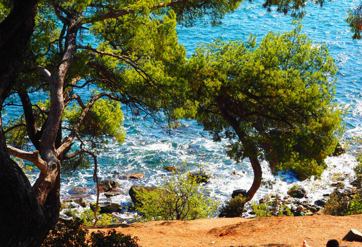 Дикий берег, а повернешься к нему спиной и перед тобой дворец
