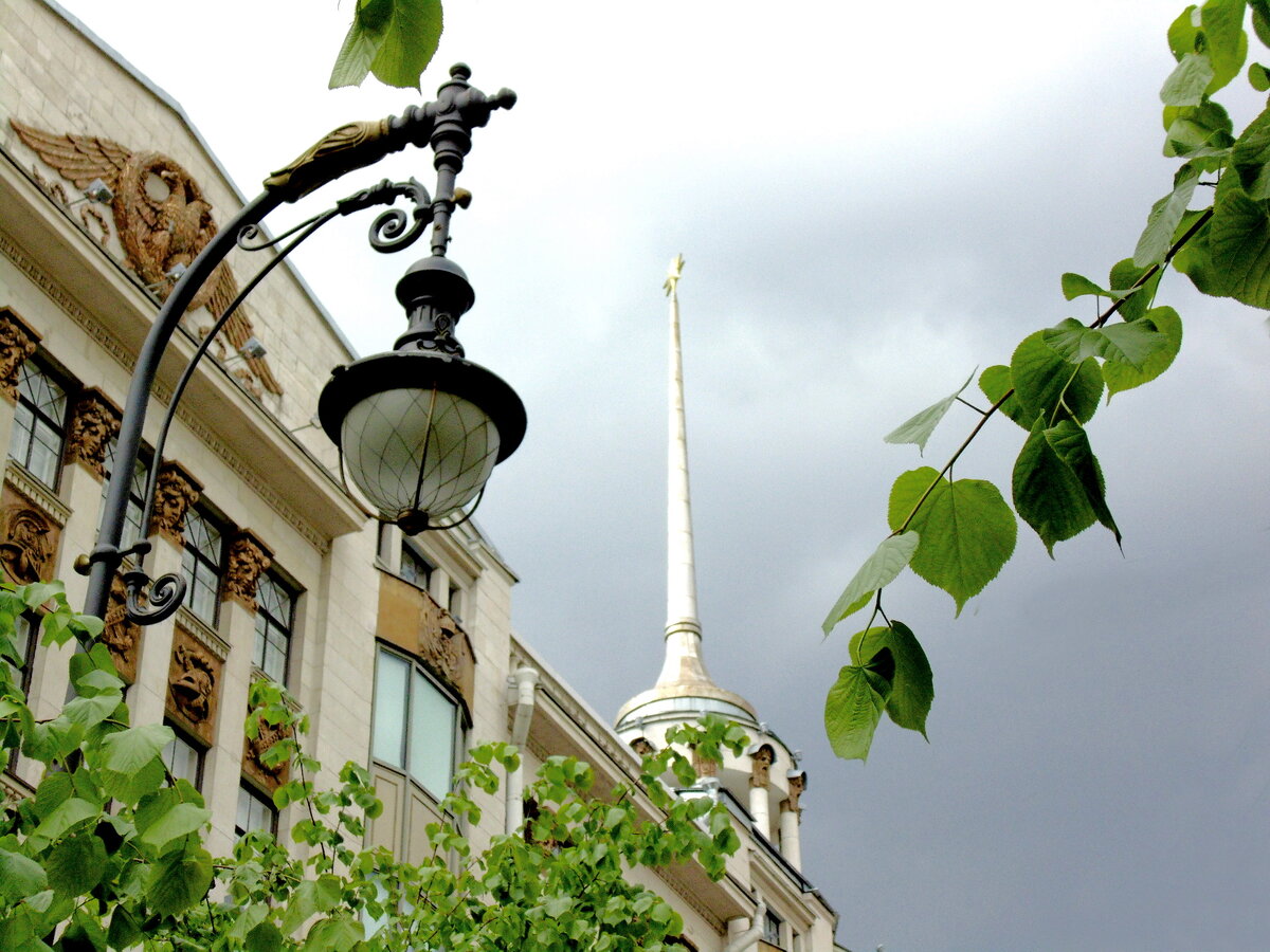 Большая Конюшенная. С него начинается Волынский переулок. Все фото автора