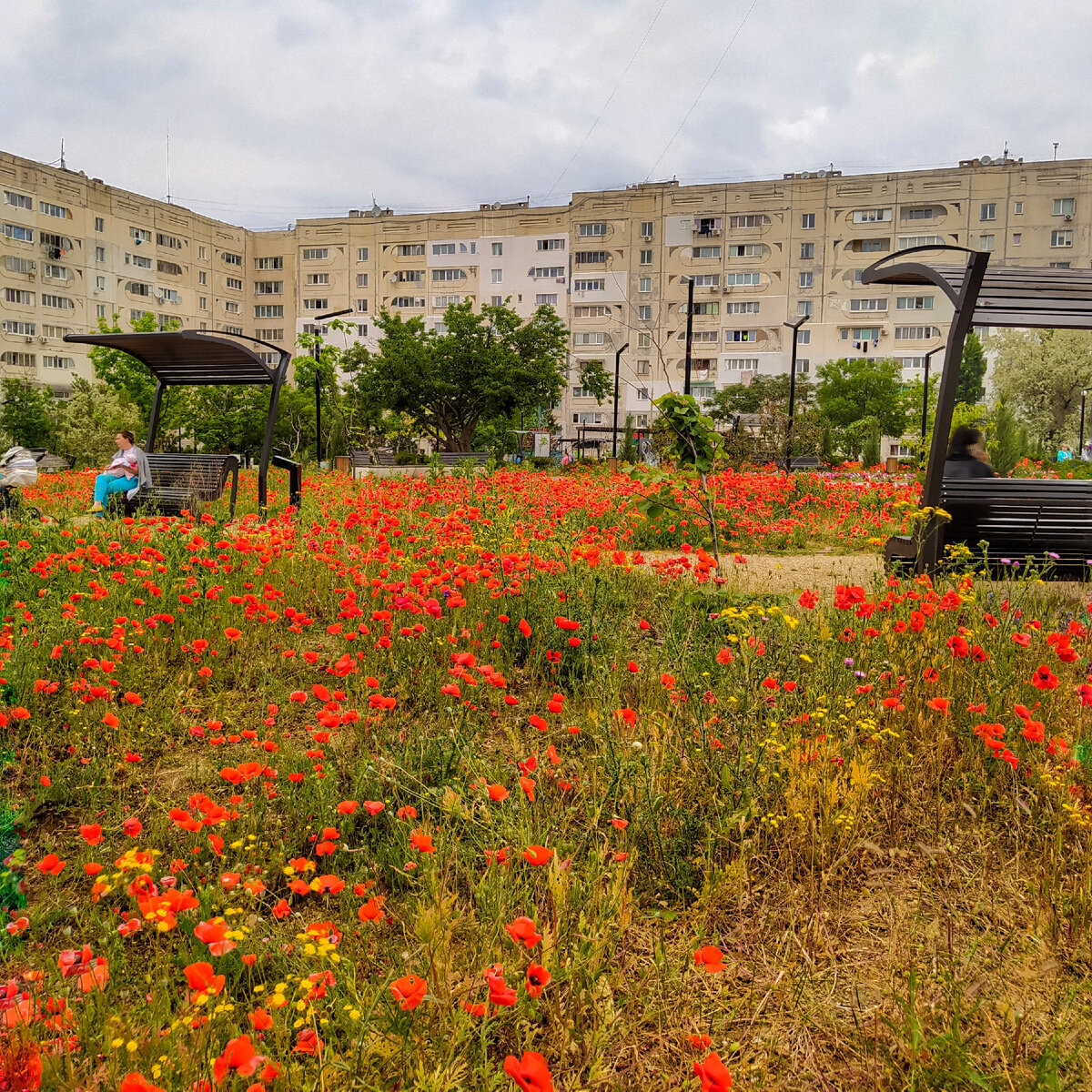 Сквер Кесаева на Летчиках
