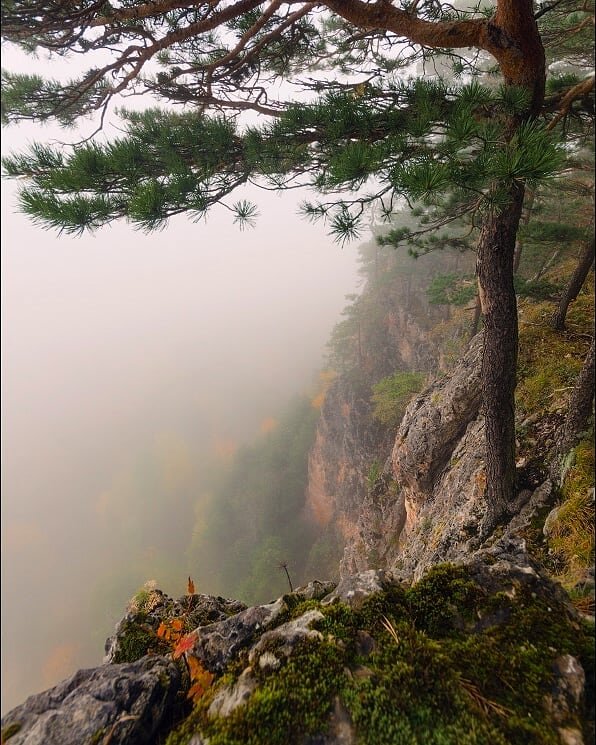 Фотография В.Соколовского