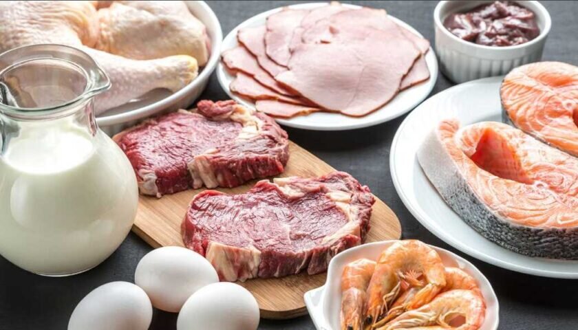 Белки презентация. Роль белков в организме химия. Презентация на тему белки жиры углеводы. Защитная роль белков в организме выражается в а осуществлении всех. 5 белков.