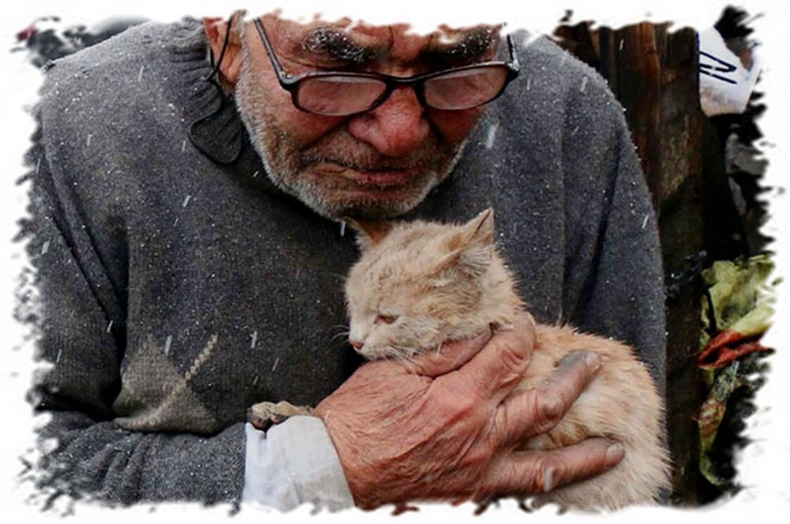 Яндекс картинки