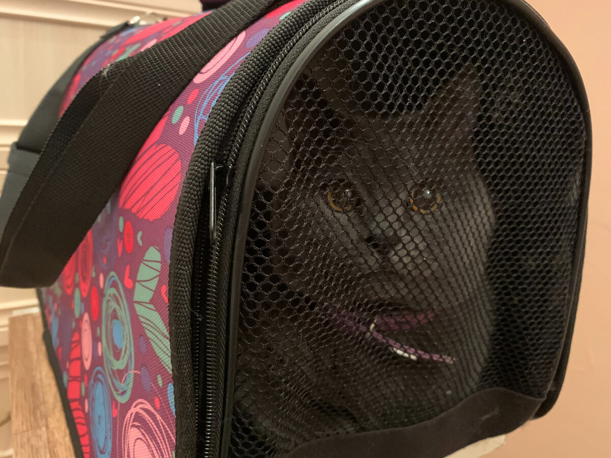 Тихон охраняет своё имущество)))