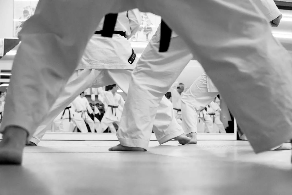 Kyokushin gi