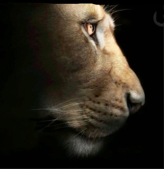 Многое  скрыто в дни Затмения...