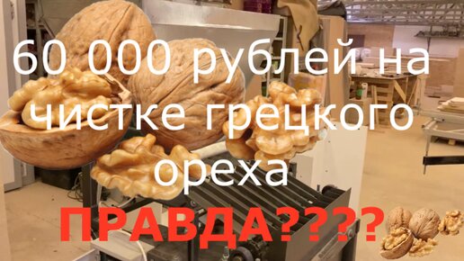 Новая бизнес идея по переработке (чистке) Грецкого ореха: рассчет, окупаемость, оборудование!