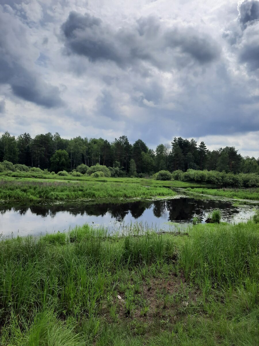 Фото "Зов вечного".