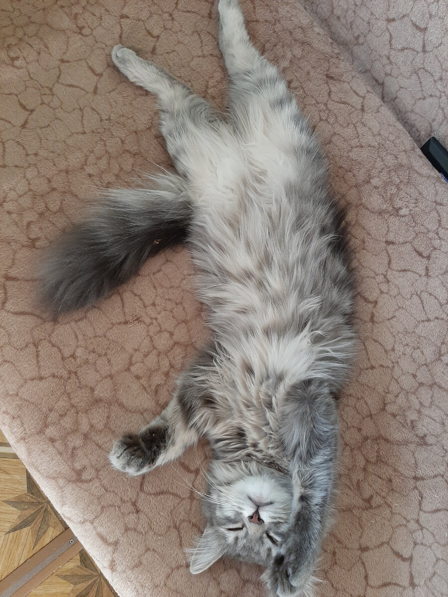 Жизнь хороша, когда спишь не спеша