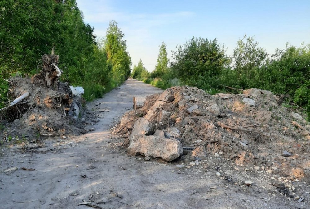 Работы на месте захоронения у поселка им. Тельмана. Источник: ВК-группа "Военно-исторический центр СЗФО"