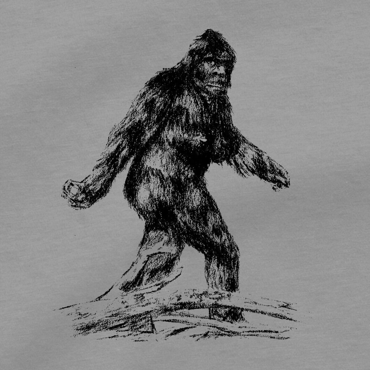 Yeti Sasquatch