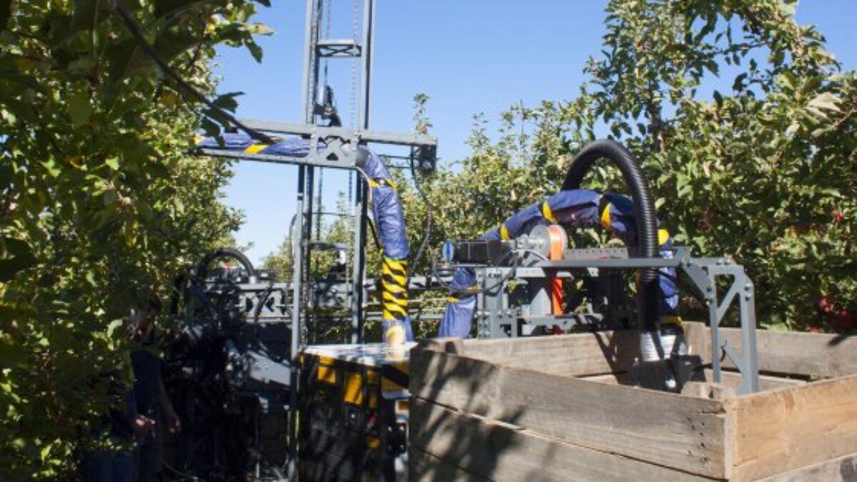Фото: Портал futurefarming.com Новый робот для сбора урожая фруктов Ripe Robotics Eve