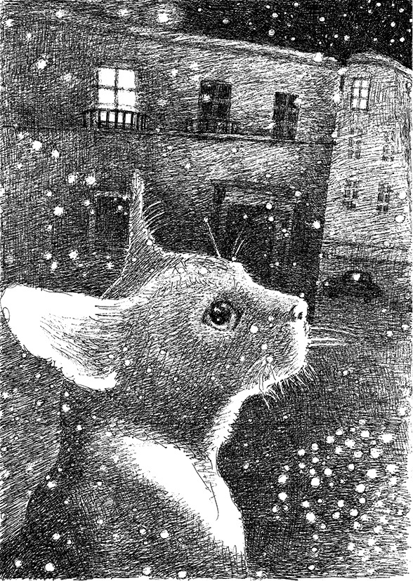 Виды иллюстраций в "Дни Савелия"