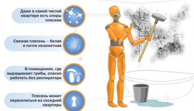 Как наносить раствор на стены для устранения и профилактики грибка