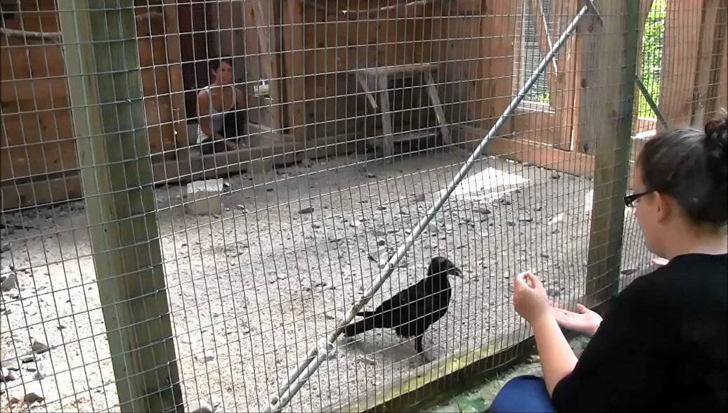 Грамотный бизнесмен 😊