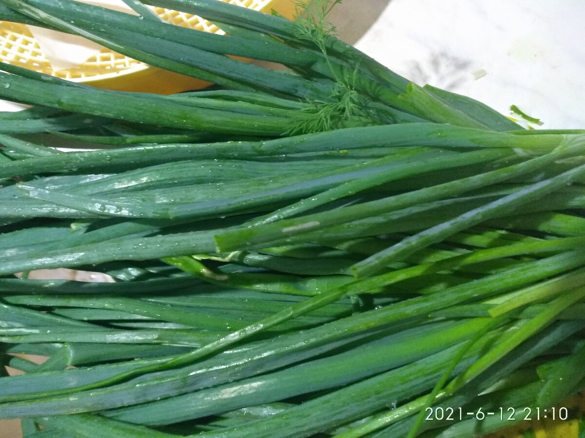 Наш урожай.