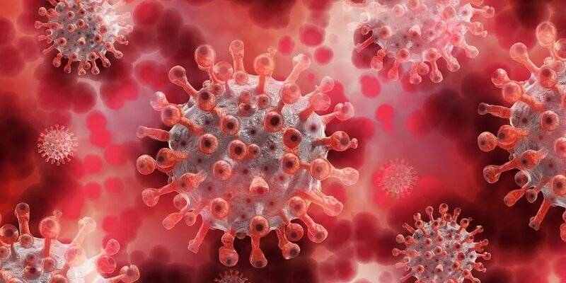 Вот он какой- COVID-19