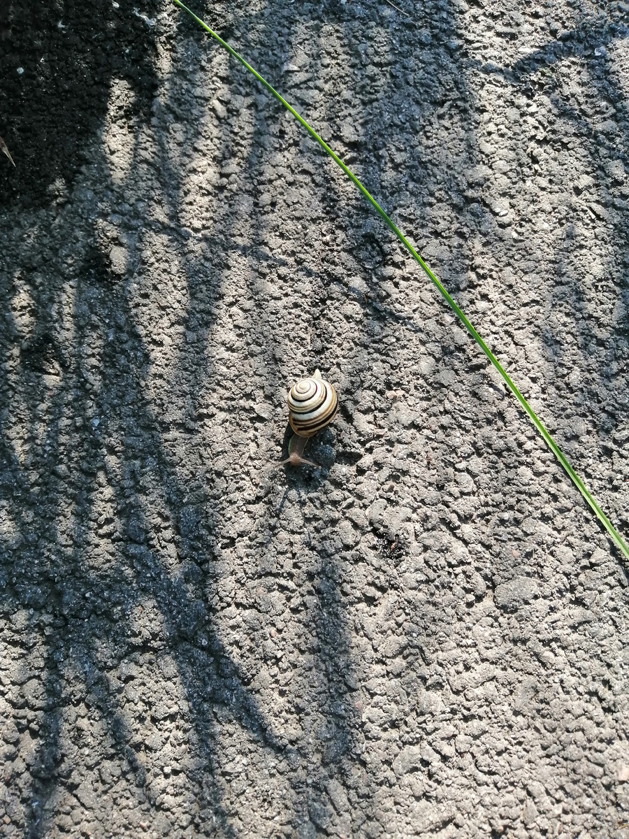 Мой канал на дзен!  только вперёд!! ☺️🤣👌