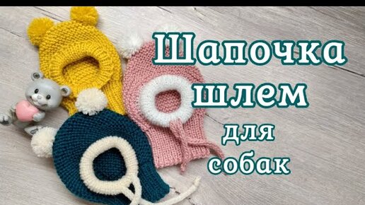 Шапочка для собаки крючком, DIY suit for dogs & cats