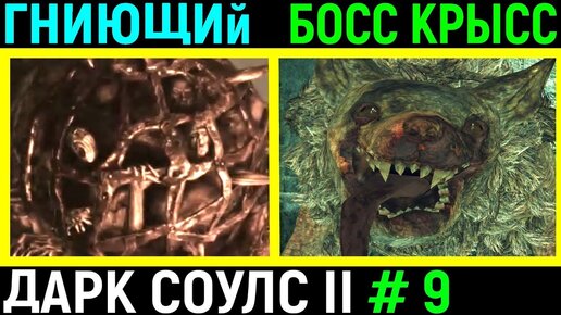 #9 Боссы Гниющий и командир крысиной гвардии Dark Souls 2