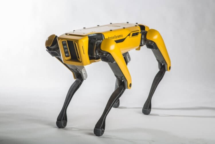 Робот-собака Spot 