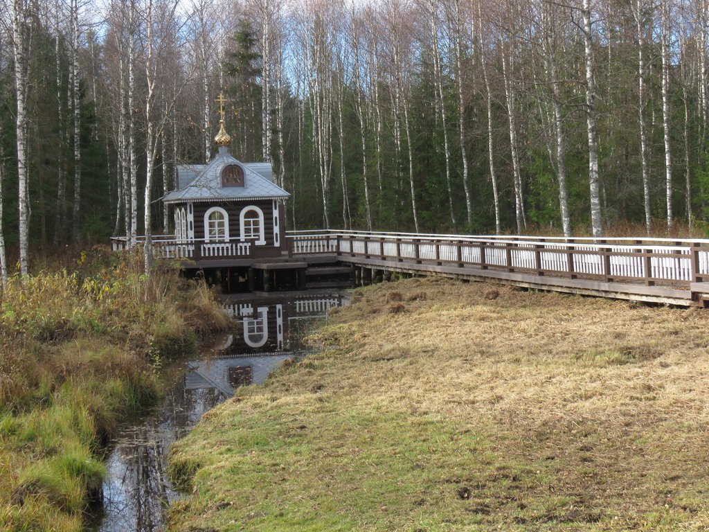 Реки в разные времена года