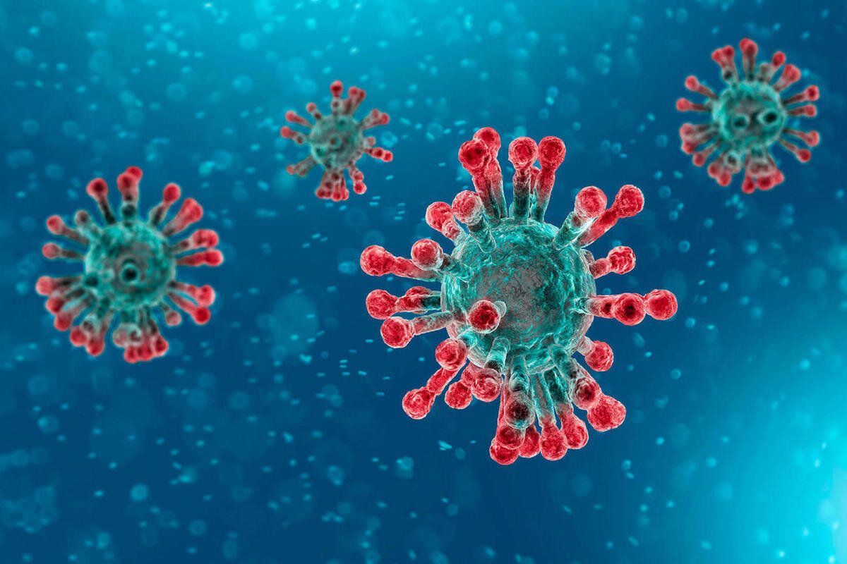 Изображение взято с сайта Яндекс.Картинки