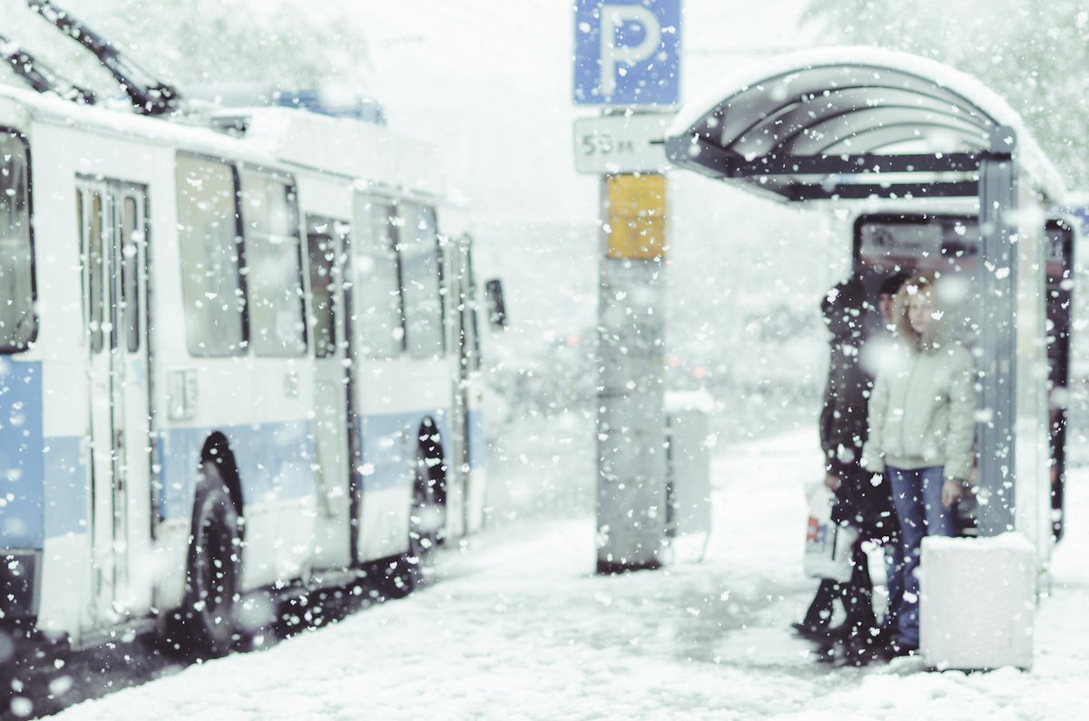 Источник: Яндекс Картинки.