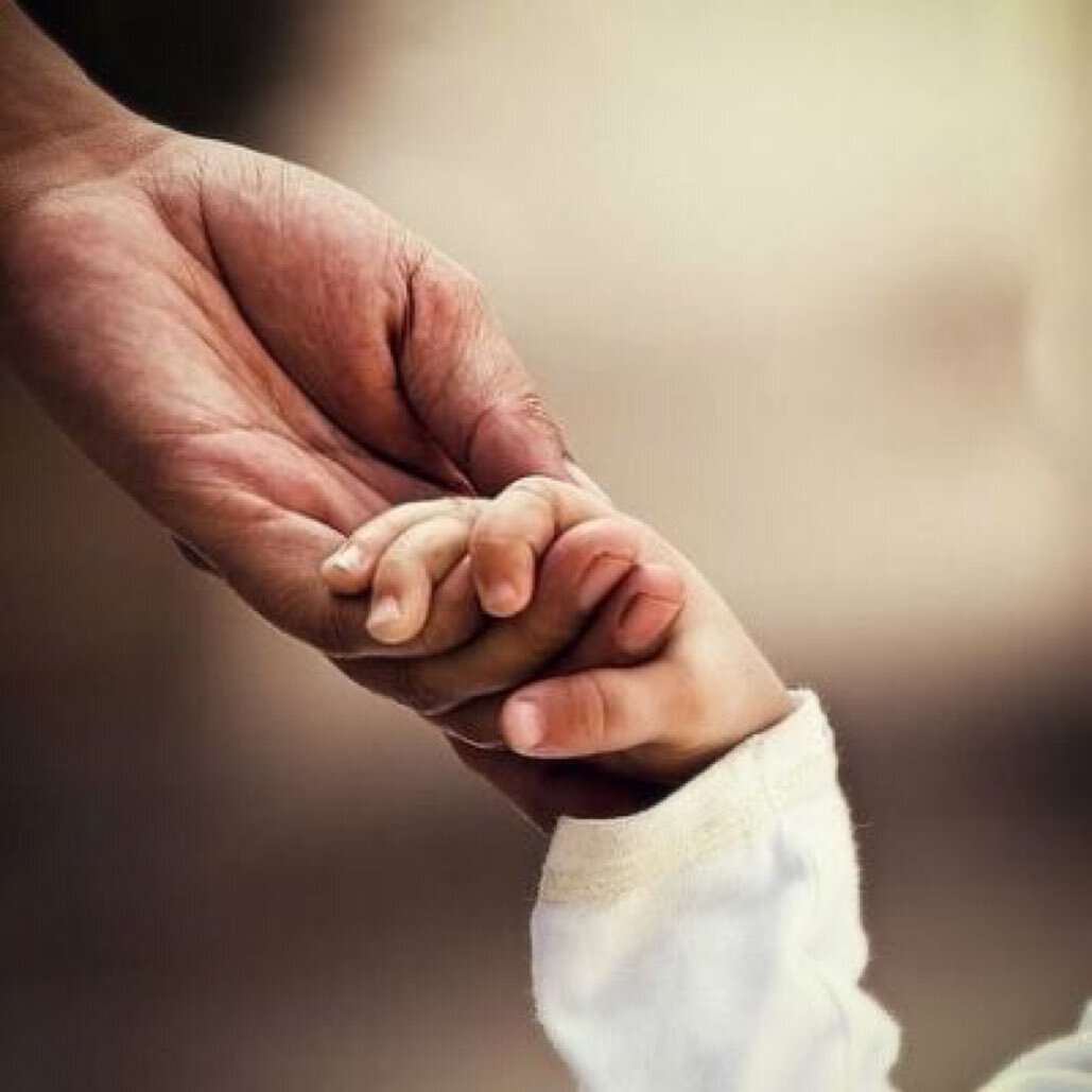 Фото взято из открытых источников