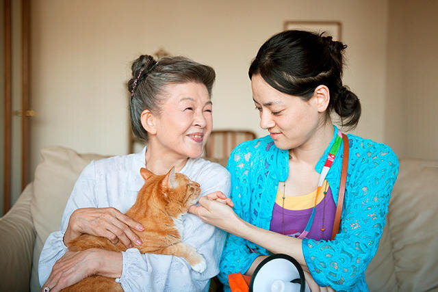 Кадр из фильма «Кошка напрокат»