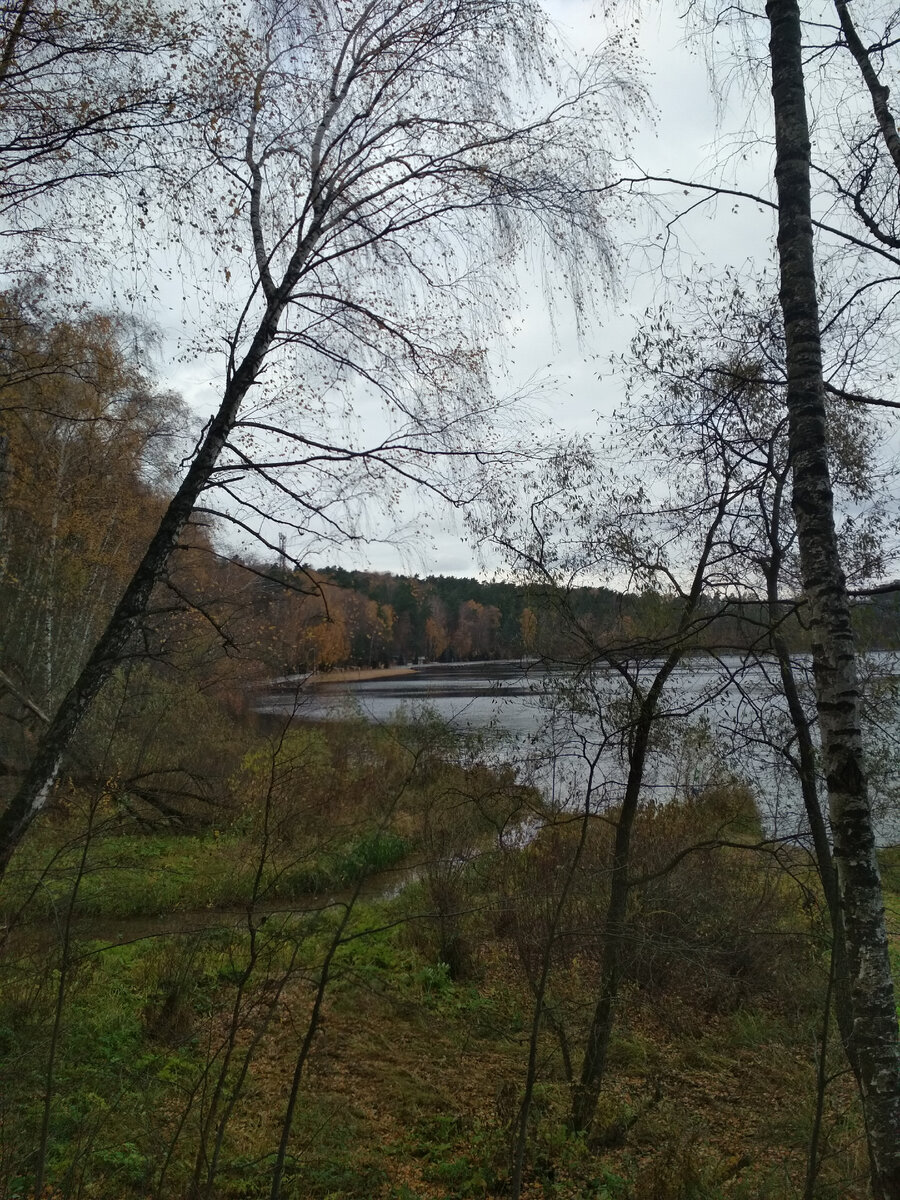 Устье реки Гнилуши.