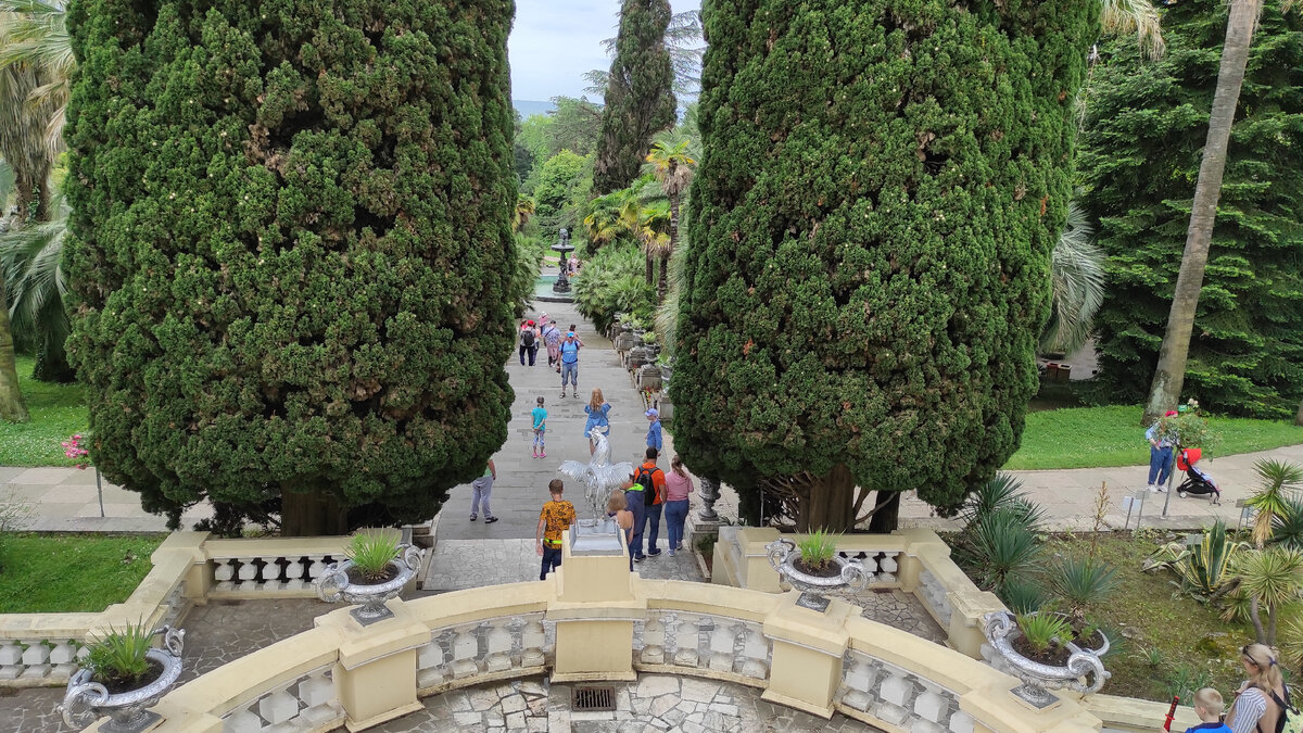 Сочи, Дендрарий. Фото: Кирилл Полиенко/Polienko: путешествуем вдвоём