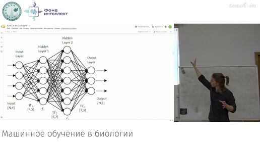 Дианкин И.Д. - Машинное обучение в биологии. Лекции - 8. Нейронные сети