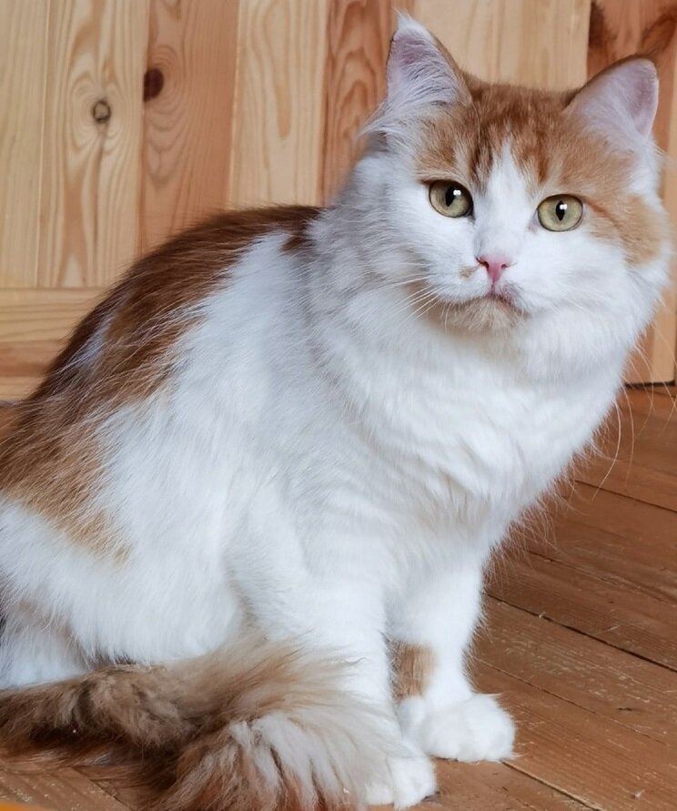 Моника во всей красе