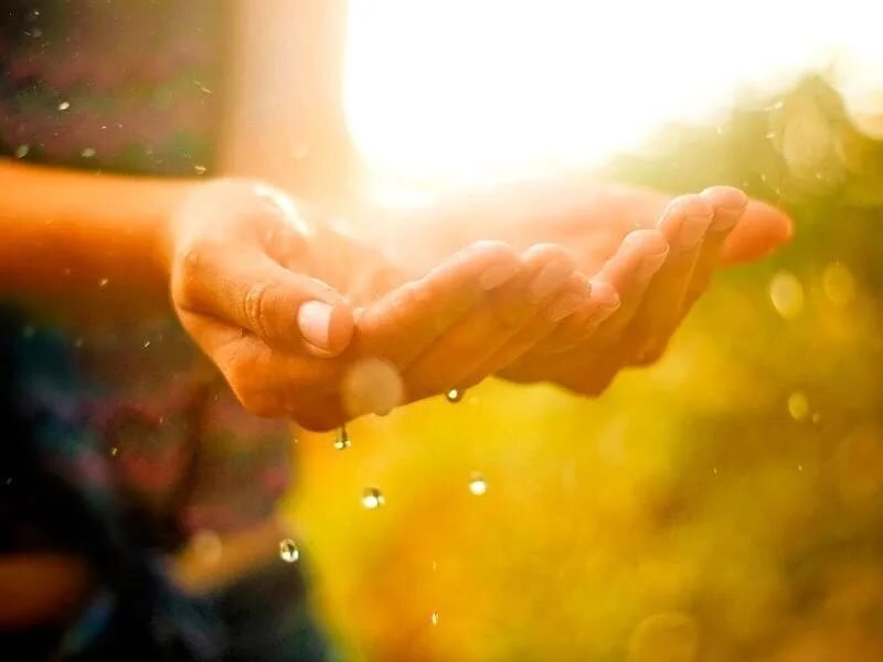 Фото из открытого доступа