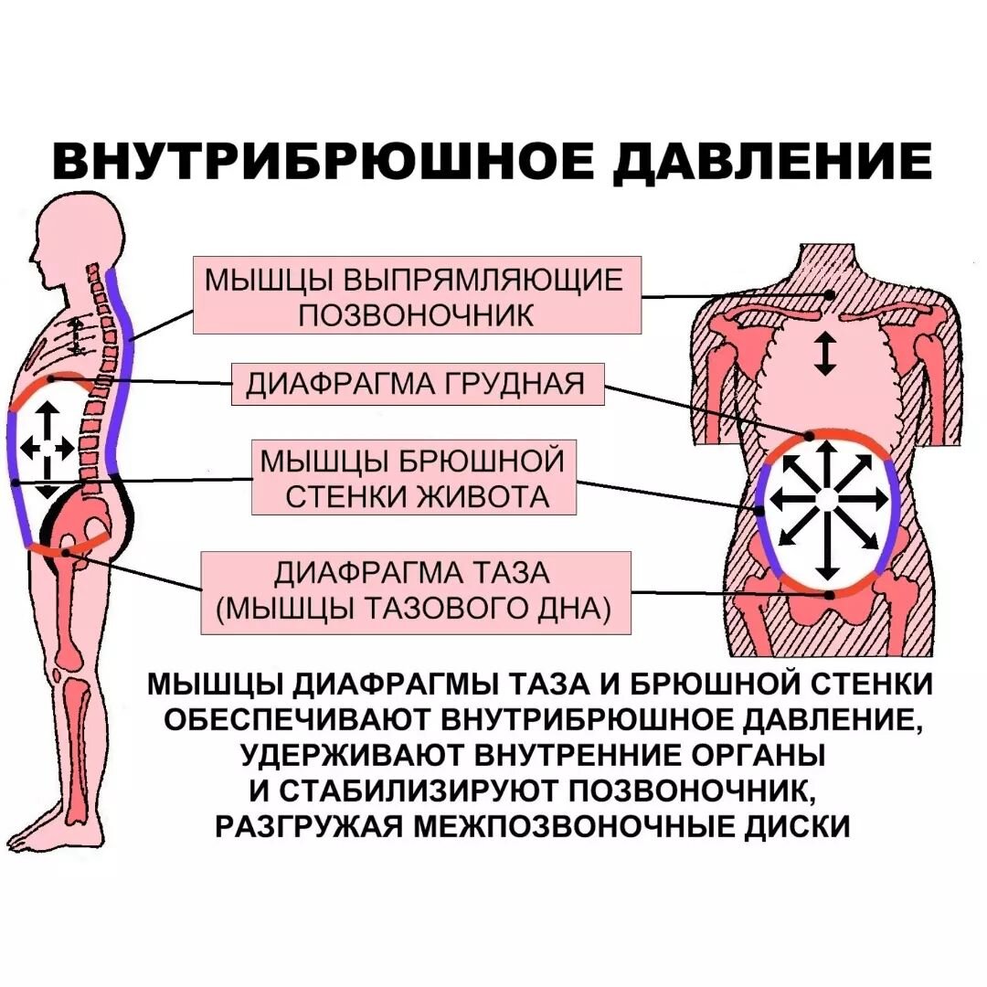 ВЗАИМОСВЯЗЬ ДИАФРАГМЫ С МЫШЦАМИ ТАЗОВОГО ДНА | Сила✓ Гибкость✓Выносливость  | Дзен