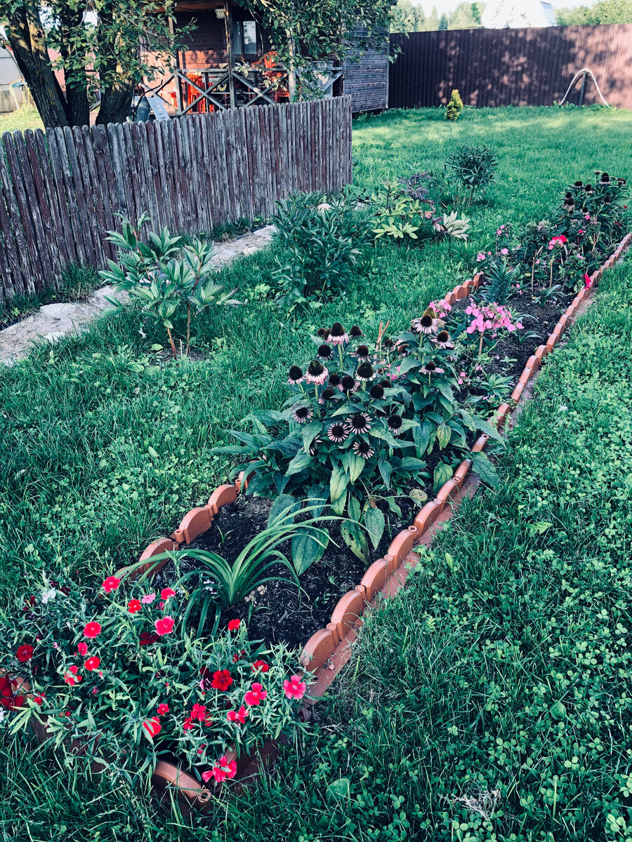 Вот так он смотрится вокруг моей новой клумбы. 