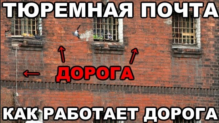 Первая юридическая группа подберет лучшего адвоката или юриста https://pervaya-yuridicheskaya-gruppa.ru