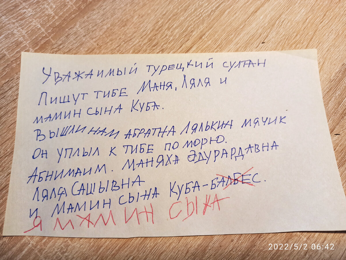 Команда специалистов узкого профиля едет на море отправлять почтовую  бутылку и выясняет, кто похищает собачьи игрушки | DogAngel | Дзен