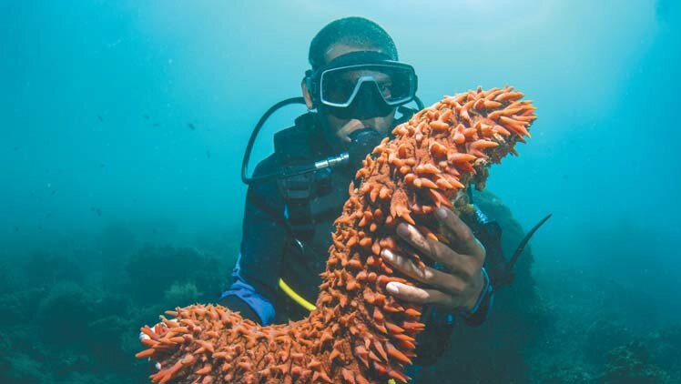 Картинка из свободных источников