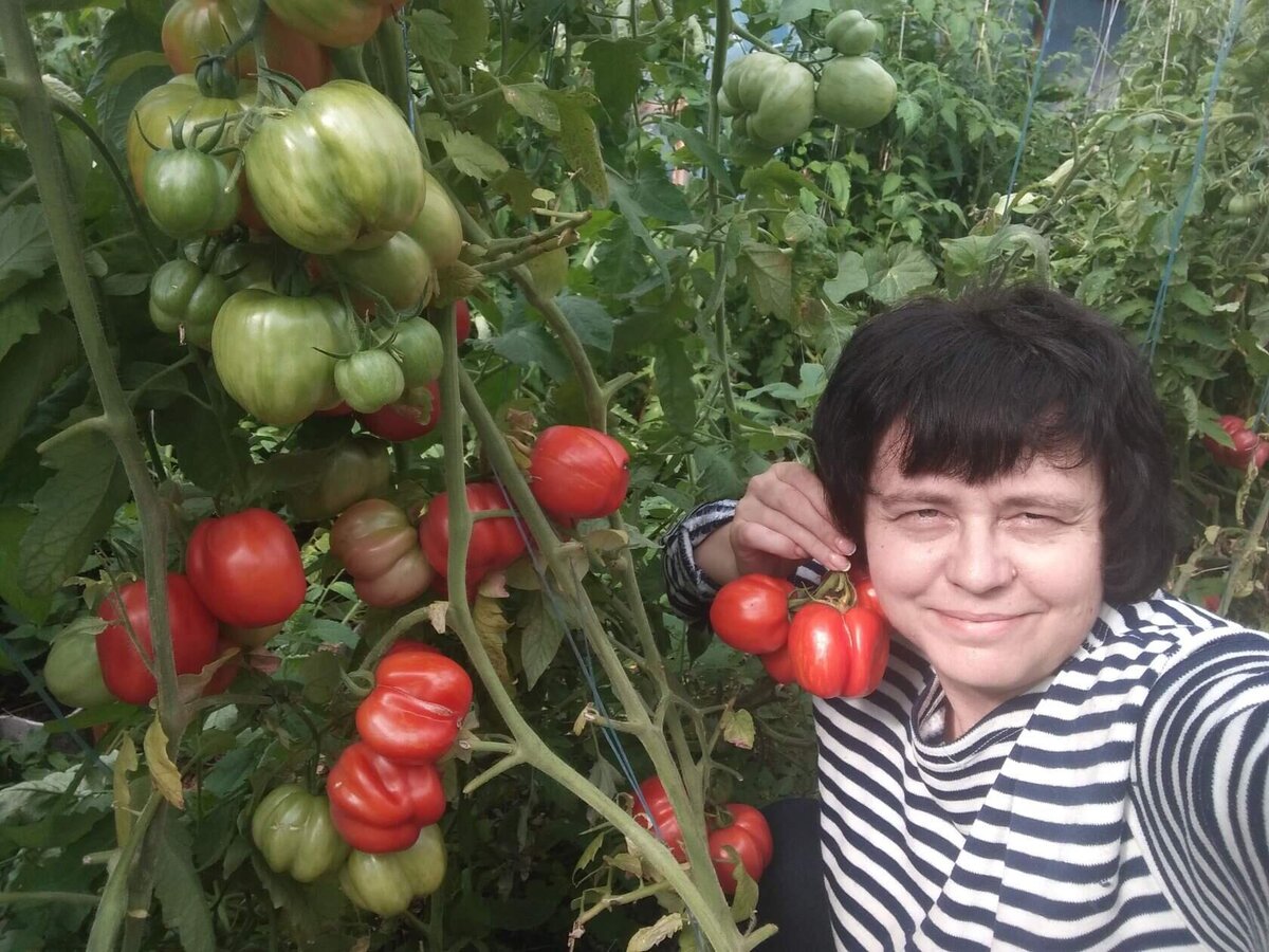 Архивное фото