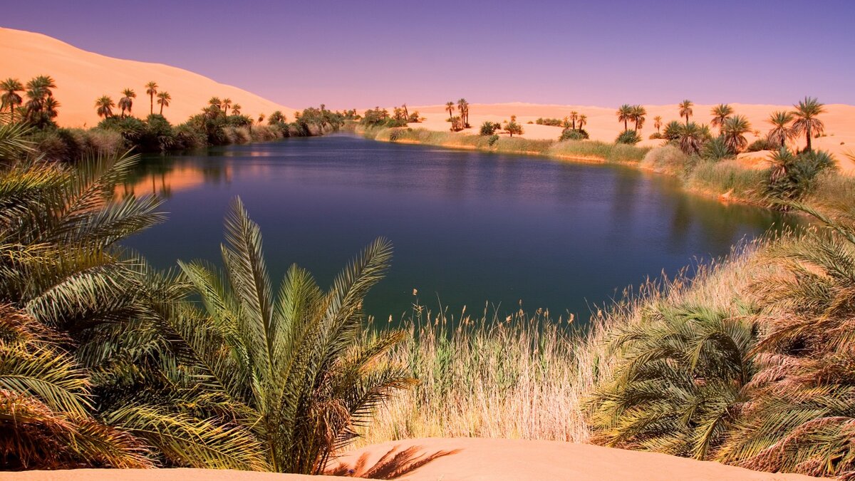 Фото и иллюстрации взяты из открытых источников и принадлежат их авторам 