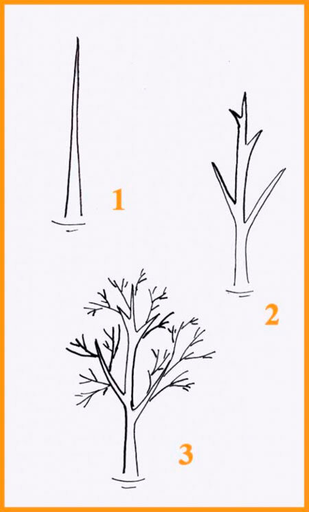 Как нарисовать осеннее дерево